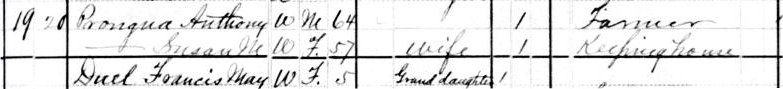 Image of portion of 1880 US Census showing Prongua